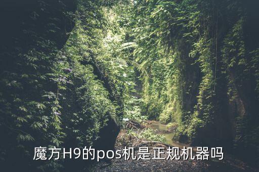 魔方H9的pos機(jī)是正規(guī)機(jī)器嗎