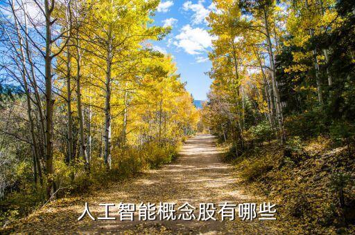 跟人工智能有關(guān)的股票，人工智能概念都有哪些股票