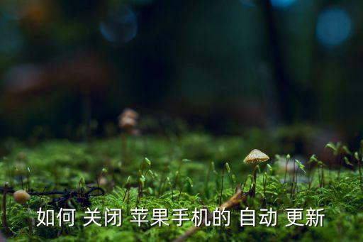 如何 關(guān)閉 蘋果手機(jī)的 自動(dòng) 更新