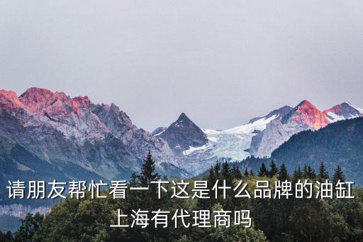 請(qǐng)朋友幫忙看一下這是什么品牌的油缸上海有代理商嗎