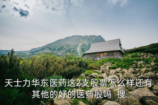 天士力華東醫(yī)藥這2支股票怎么樣還有其他的好的醫(yī)藥股嗎  搜