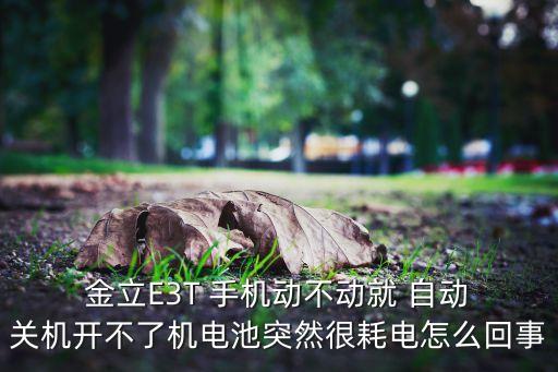  金立E3T 手機(jī)動(dòng)不動(dòng)就 自動(dòng) 關(guān)機(jī)開(kāi)不了機(jī)電池突然很耗電怎么回事