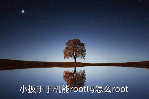 小扳手科技，小扳手手機(jī)多少錢一部