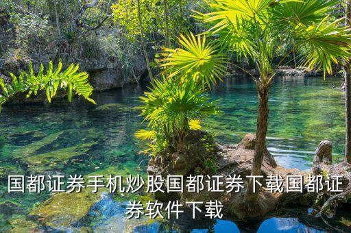 國都證券手機炒股國都證券下載國都證券軟件下載