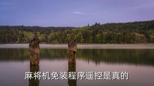 不用安裝程序的麻將機(jī)，麻將機(jī)免裝程序遙控是真的