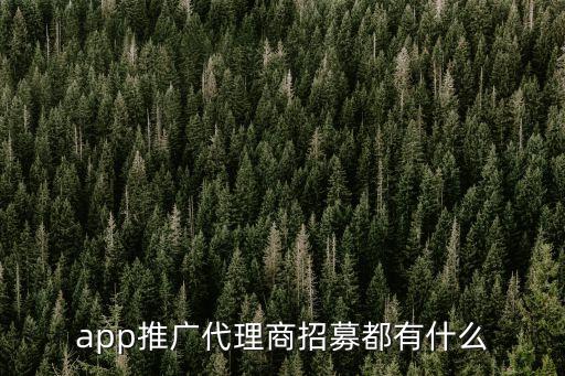 我想做app推廣代理，我想開(kāi)一家公司主要做一些app推廣應(yīng)用屬于代理商那么應(yīng)該注