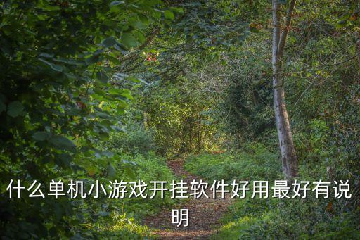 什么單機小游戲開掛軟件好用最好有說明