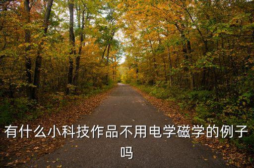 有什么小科技作品不用電學(xué)磁學(xué)的例子嗎