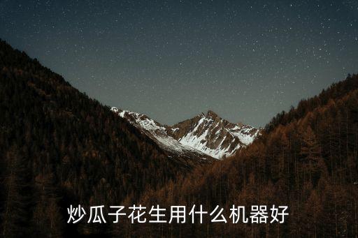 炒瓜子花生用什么機器好