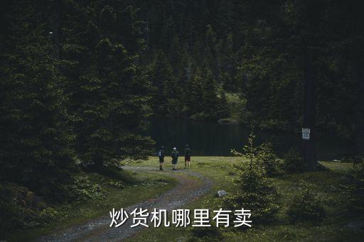 炒貨機哪里有賣