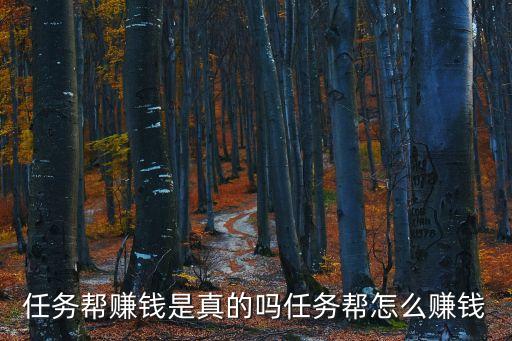 任務(wù)賺軟件是真的嗎，蘋果手機(jī)的任務(wù)賺這個軟件看一次視頻賺幾毛錢這個是真的嗎  搜