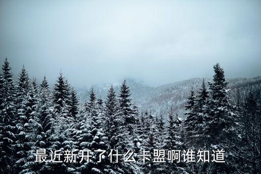 最新卡盟，最近新開了什么卡盟啊誰(shuí)知道