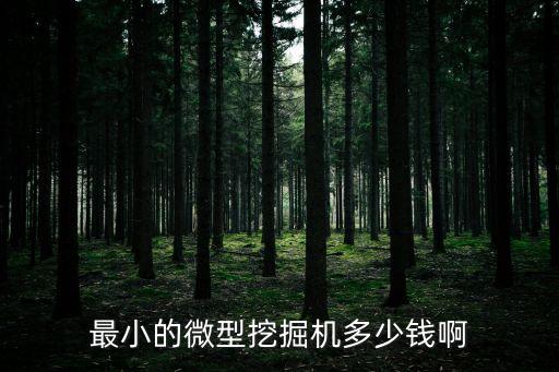 最小的微型挖掘機多少錢啊