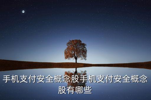 手機支付安全概念股手機支付安全概念股有哪些