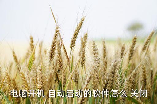電腦開機 自動啟動的軟件怎么 關(guān)閉
