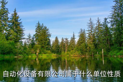 自動(dòng)化設(shè)備有限公司屬于什么單位性質(zhì)