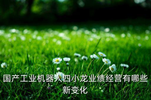 國產(chǎn)工業(yè)機(jī)器人四小龍業(yè)績經(jīng)營有哪些新變化