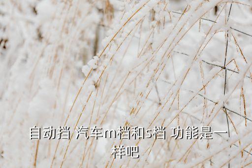  自動擋 汽車m檔和s檔 功能是一樣吧