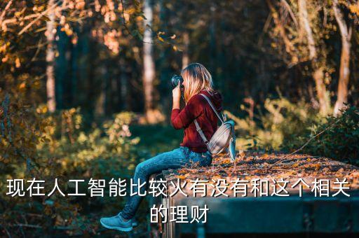 最好的人工智能基金，現(xiàn)在人工智能比較火有沒有和這個(gè)相關(guān)的理財(cái)