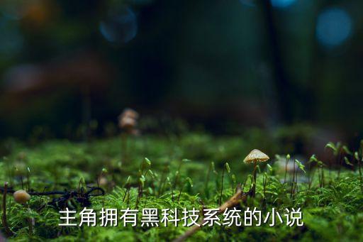 主角擁有黑科技系統(tǒng)的小說(shuō)