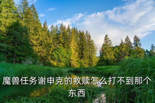 魔獸任務(wù)謝申克的救贖怎么打不到那個(gè)東西