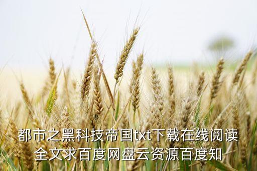 都市之黑科技帝國(guó)txt下載在線閱讀全文求百度網(wǎng)盤云資源百度知