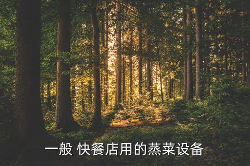 一般 快餐店用的蒸菜設(shè)備