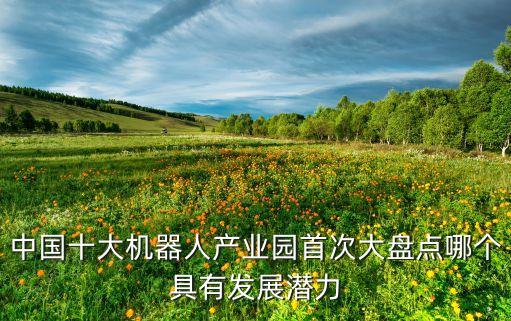 中國最有潛力的機(jī)器人公司，沈陽機(jī)器人哪家好