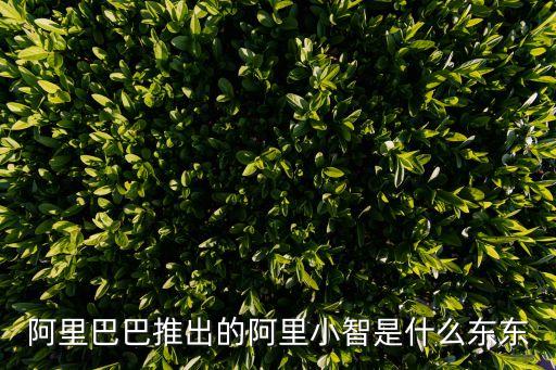 阿里巴巴推出的阿里小智是什么東東
