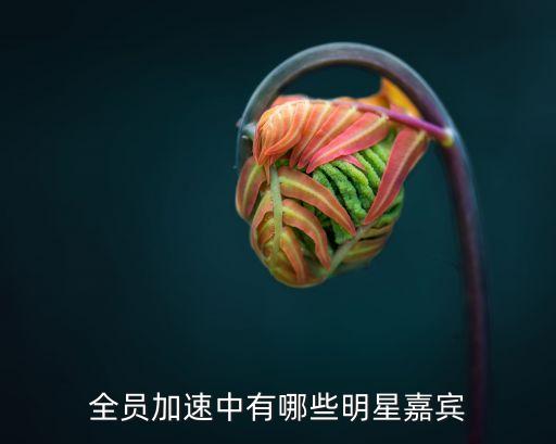 全員加速中有哪些明星嘉賓
