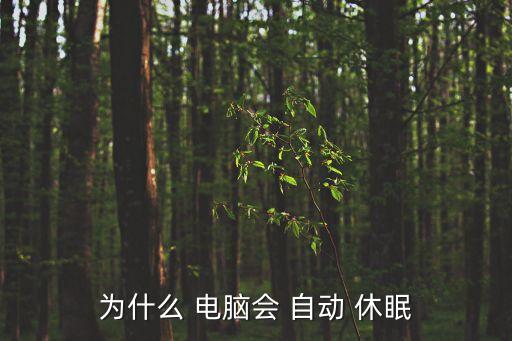 為什么 電腦會 自動 休眠