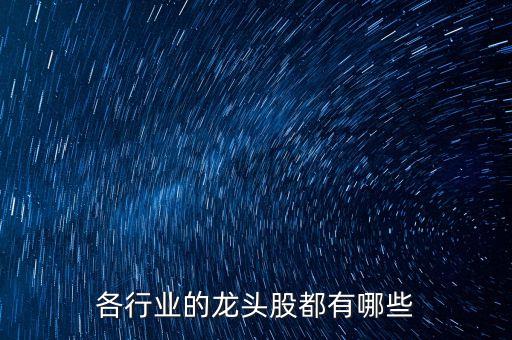 各行業(yè)的龍頭股都有哪些