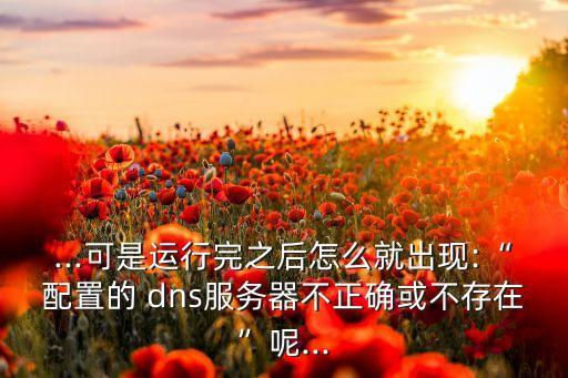 ...可是運(yùn)行完之后怎么就出現(xiàn):“配置的 dns服務(wù)器不正確或不存在”呢...