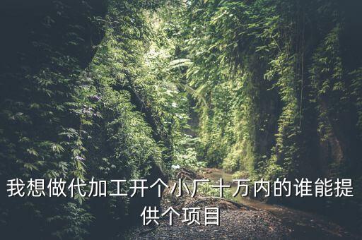 我想做代加工開(kāi)個(gè)小廠(chǎng)十萬(wàn)內(nèi)的誰(shuí)能提供個(gè)項(xiàng)目