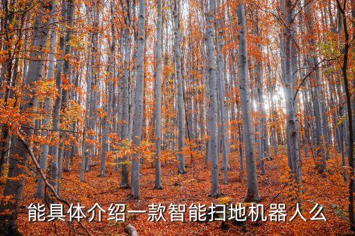 能具體介紹一款智能掃地機(jī)器人么