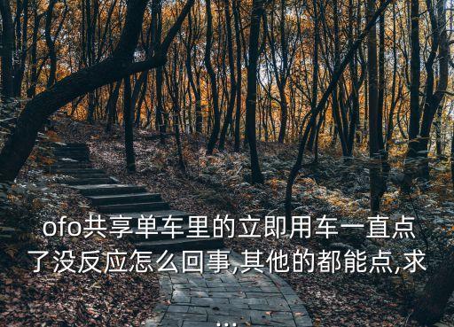  ofo共享單車?yán)锏牧⒓从密囈恢秉c(diǎn)了沒反應(yīng)怎么回事,其他的都能點(diǎn),求...