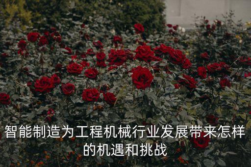 自動化行業(yè)的機遇和挑戰(zhàn)，傳統(tǒng)制造業(yè)走向智能制造有哪些機遇與挑戰(zhàn)