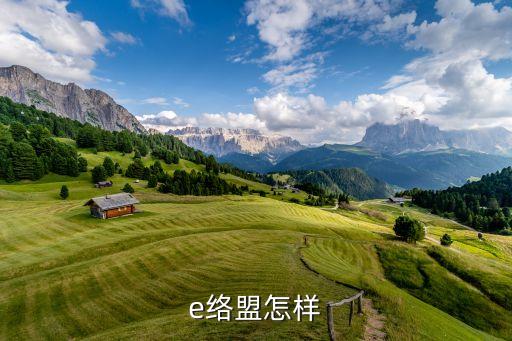 e絡(luò)盟，艾睿 歐時(shí) 派睿E絡(luò)盟 安富利 這些分銷商各有什么特點(diǎn)和長(zhǎng)處
