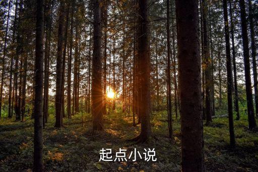 學(xué)霸的黑科技系統(tǒng)起點(diǎn)中文網(wǎng)，起點(diǎn)小說(shuō)