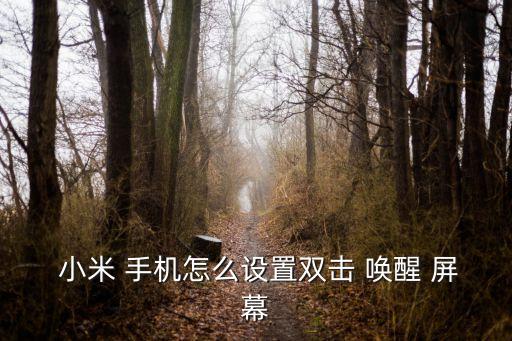  小米 手機(jī)怎么設(shè)置雙擊 喚醒 屏幕