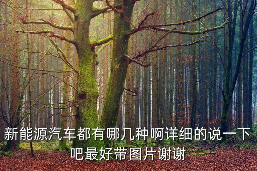 新能源汽車都有哪幾種啊詳細的說一下吧最好帶圖片謝謝