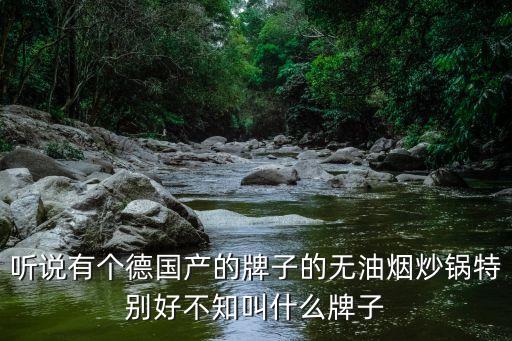 德國全自動智能炒菜鍋，聽說有個德國產(chǎn)的牌子的無油煙炒鍋特別好不知叫什么牌子
