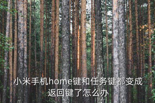  小米手機(jī)home鍵和任務(wù)鍵都變成 返回鍵了怎么辦