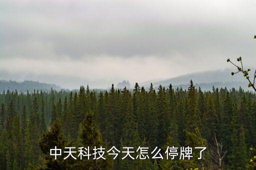 中天科技最新公告，南通市那個(gè)中天科技哪個(gè)有消息啊