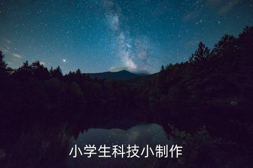 小學(xué)生科技小制作