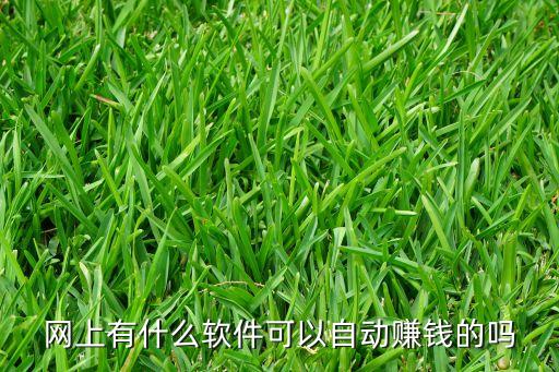 自動(dòng)賺錢神器，有什么自動(dòng)賺錢的軟件
