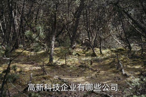 高新科技企業(yè)有哪些公司