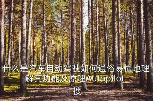 全智能自動駕駛汽車，哪些車可以自動駕駛