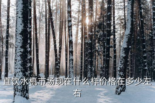 直飲水機市場現(xiàn)在什么樣價格在多少左右