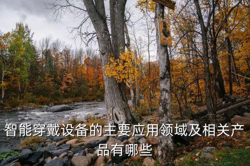 智能穿戴設(shè)備的主要應(yīng)用領(lǐng)域及相關(guān)產(chǎn)品有哪些